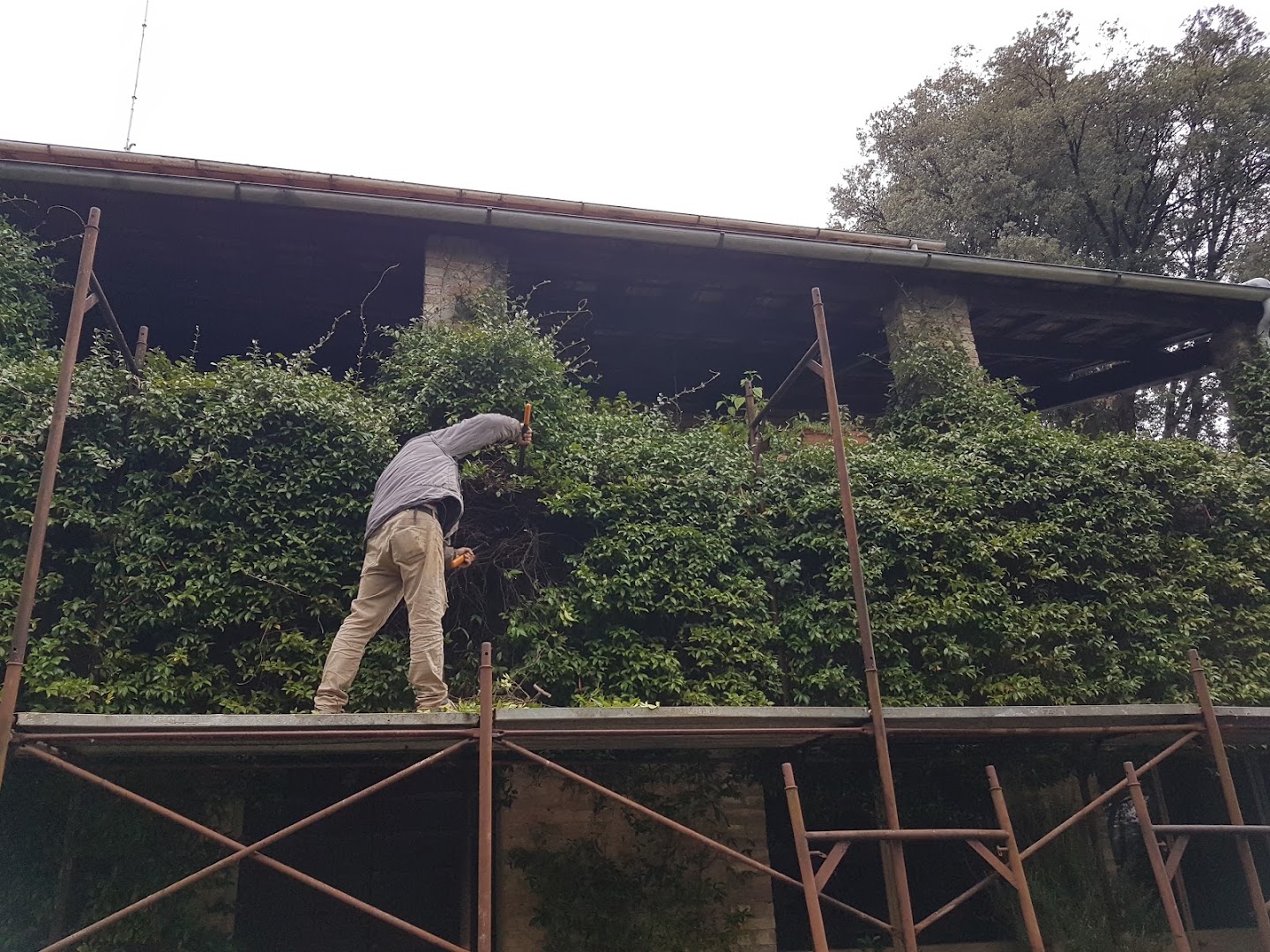 SOS Casa Michele — Foto 4
